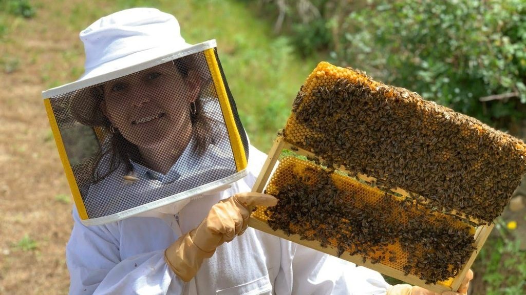 bee removal Brisbane