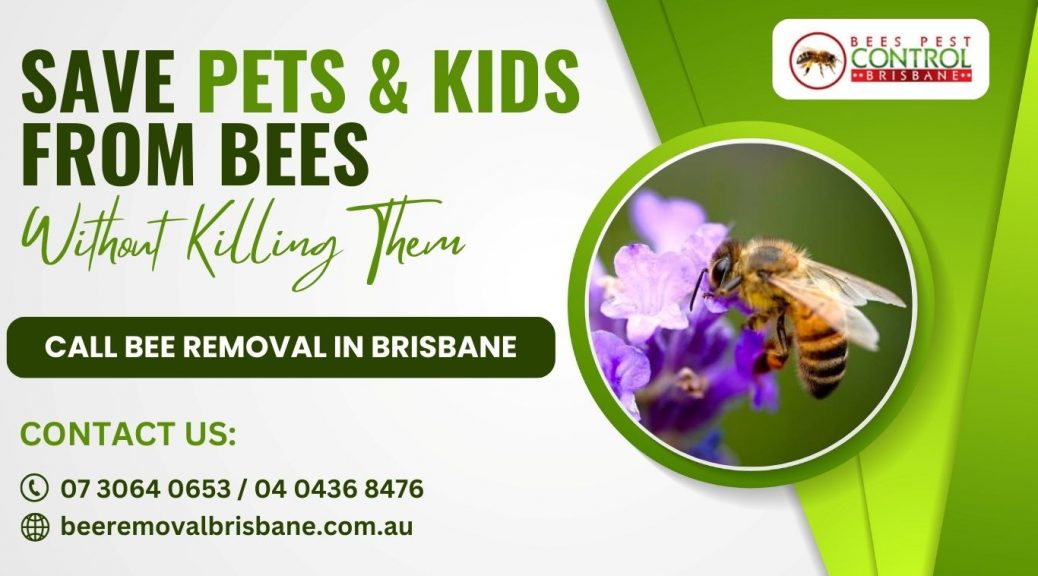 local bees pest control
