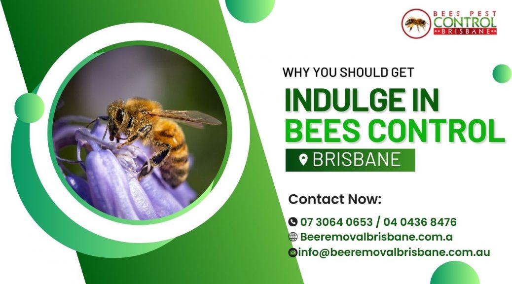 bees pest control near me