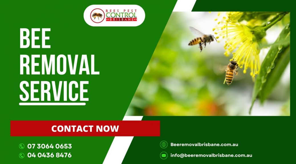 bee removal service near me