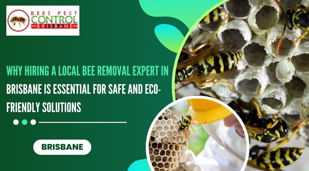 local bees pest control