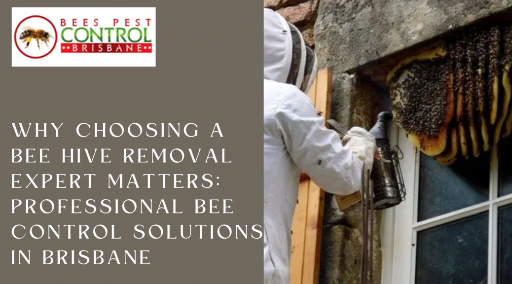 Why Choosing a Bee Hive Removal Expert Matters: Professional Bee Control Solutions in Brisbane