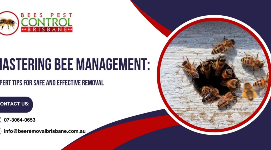 Mastering Bee Management: Expert Tips for Safe and Effective Removal