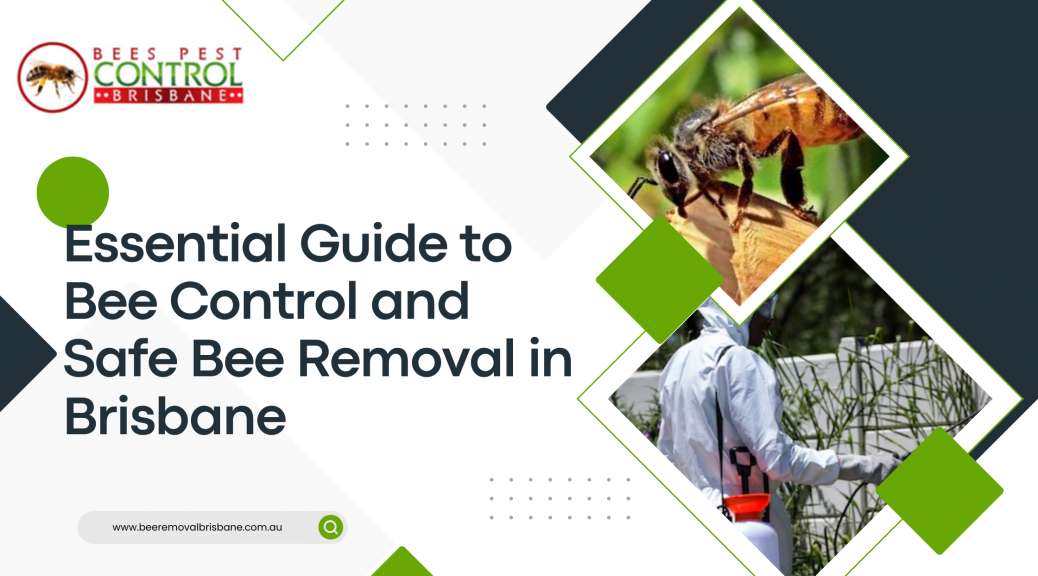Essential Guide to Bee Control and Safe Bee Removal in Brisbane