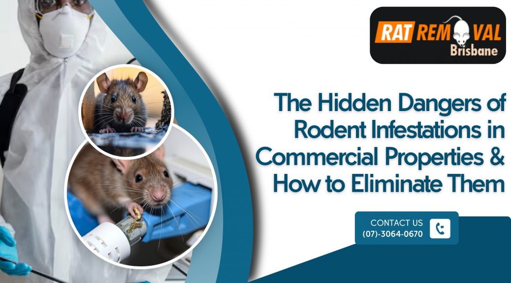 The Hidden Dangers of Rodent Infestations in Commercial Properties & How to Eliminate Them